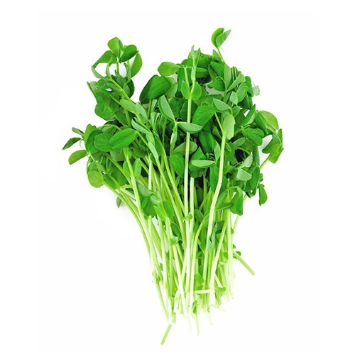 Pea-Shoots