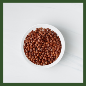 Red Lentil (Masoor) Microgreens Seeds