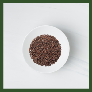 Radish Purple Sango Microgreens Seeds