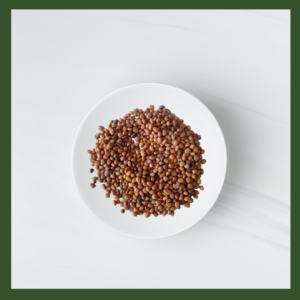 Radish Pink Microgreens Seeds