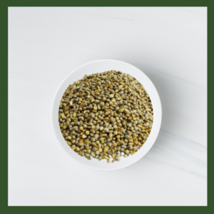 Pearl Millet (Bajra) Microgreens Seeds