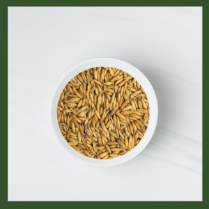 Oat Grass Microgreens Seeds