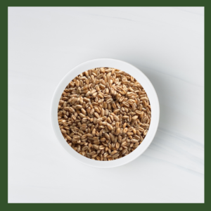 Wheatgrass Microgreens Seeds