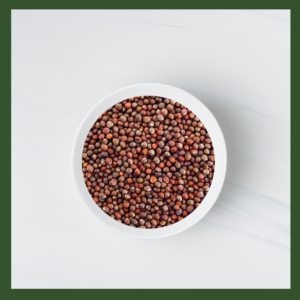 Red Kale Microgreens Seeds