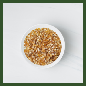 Corn Microgreens Seeds