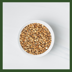 Coriander Microgreens Seeds