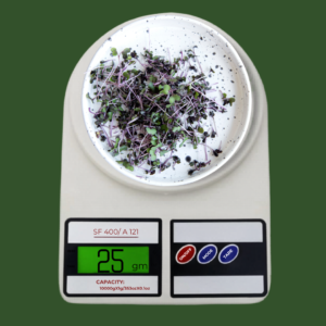 Aliston Atom Weighing Scale (SF-400)