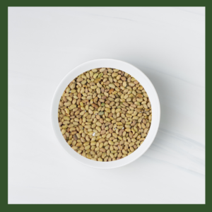 Alfalfa Microgreens Seeds